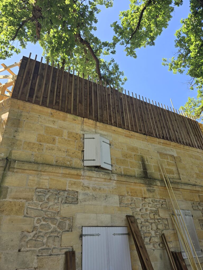 PHOTO-2026-01-29-15-41-03_2