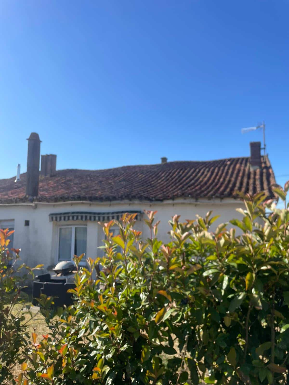 Maison ancienne à toit de tuiles rouges et cheminées derrière des buissons sous un ciel bleu dégagé.