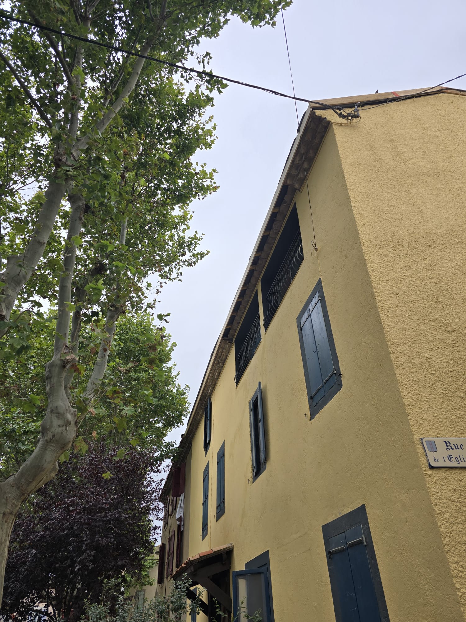 Façade d'un bâtiment jaune aux volets bleus sur la Rue de l'Eglise, bordée d'un grand platane verdoyant.
